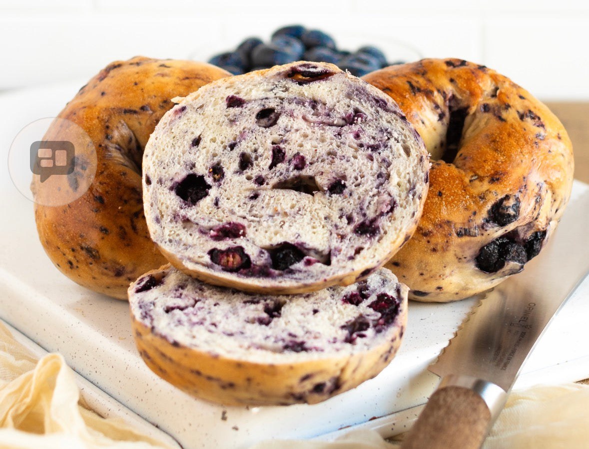Blueberry Bagel